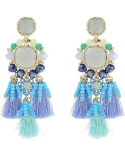 Coupon ๐งจ Lilly Pulitzer Waterside Earrings โจ